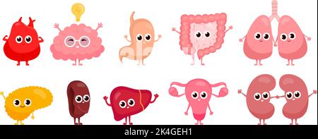 Caractères des organes internes. Caricature sain organe humain mignon personnages comiques, heureux foie drôle cerveau rate estomac pancréas système digestif biologie illustration vectorielle de l'anatomie de caractère humain Illustration de Vecteur