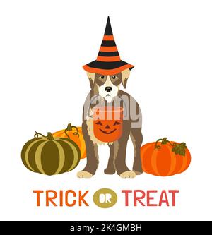 Chien dans chapeau de sorcière avec seau Halloween isolé Illustration de Vecteur