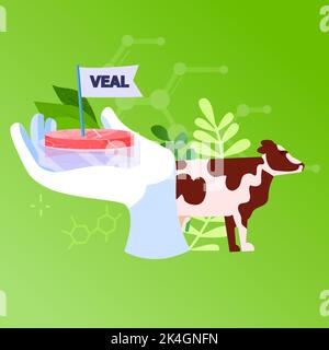 scientifique tenant main veau cru rouge cultivé fait de cellules animales artificiel en laboratoire de production de viande concept Illustration de Vecteur