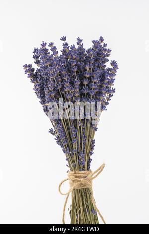 Bouquet de fleurs de lavande séchées (Lavandula) isolées sur fond blanc. Banque D'Images