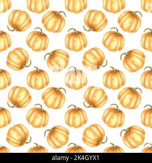 Motif de citrouille d'automne sans coutures. Déco récolte citrouille automne orange sur fond blanc. Banque D'Images