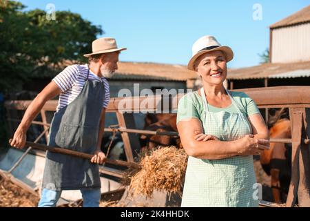 Femme mature près d'un enclos avec des vaches à la ferme Banque D'Images