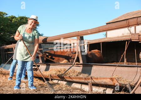 Femme mature près d'un enclos avec des vaches à la ferme Banque D'Images