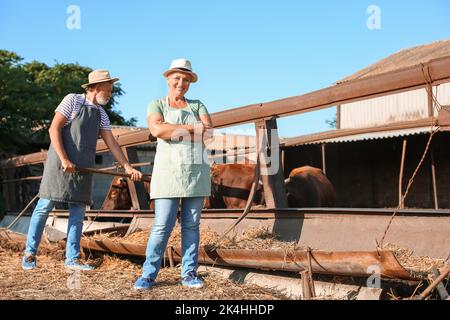 Femme mature près d'un enclos avec des vaches à la ferme Banque D'Images
