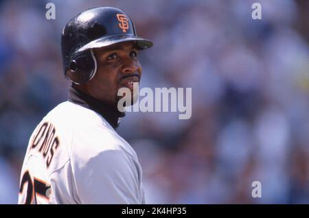 Barry Bonds des Giants de San Francisco est montré dans une action de match contre les Cubs de Chicago à Wrigley Field, CA. 1998. Banque D'Images