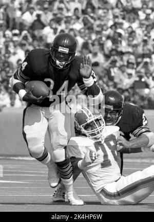 Chicago Bears qui revient Walter Payton court le ballon lors d'un match en 1984. Banque D'Images