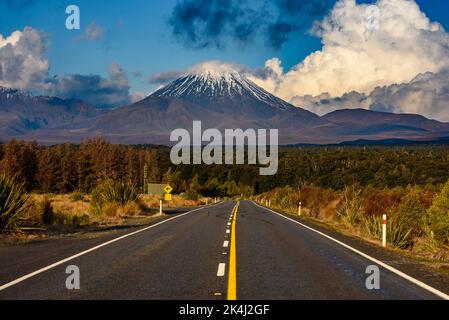 Route menant à Mt. Ngauruhoe dans le parc national de Tongariro, Nouvelle-Zélande Banque D'Images