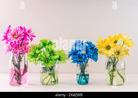 Un groupe de fleurs colorées dans le pot de fleur de cul contre un fond blanc Banque D'Images
