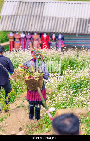 Province de yen Bai, Vietnam - 23 septembre 2022 : vue sur les touristes et les populations locales en terrasses de riz doré dans la ville de Mu cang Chai près de la ville de Sapa, au nord de Viewn Banque D'Images