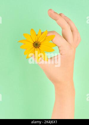 Main femelle tenant le symbole de la fleur jaune de topinambur OK, période de menstruation fine isolée sur fond vert clair. OK bon geste avec naturel Banque D'Images