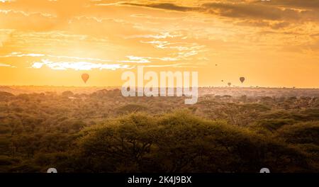 Vue panoramique sur le Serengeti avec ballons d'air chaud dans le ciel au lever du soleil Banque D'Images
