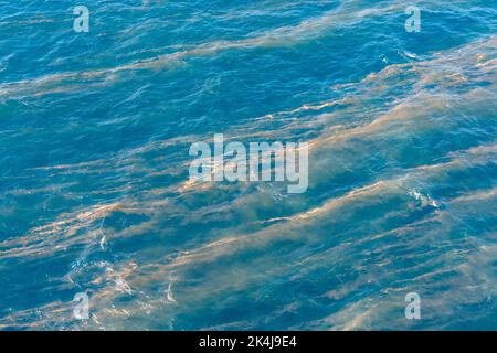 fleur d'algues flottantes vue d'un bateau de croisière dans l'océan pacifique au large du queensland. australie Banque D'Images