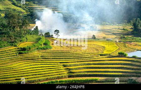 Vue sur les champs en terrasse dans la province de Lai Chau au nord-ouest du Vietnam le jour de la récolte de riz mûr Banque D'Images