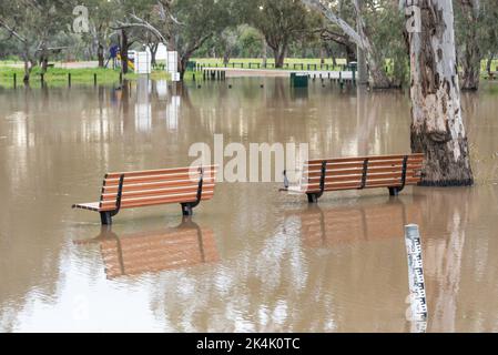 26 septembre 2022 Nyngan, Nouvelle-Galles du Sud, Australie : la rivière Bogan en crue a atteint des niveaux modérés d'inondation de 3,4m 000, qui débordent sur ses rives dans des sentiers de pique-nique et de randonnée et dans les parties inférieures du garage local près du pont Peter Sinclair. Credit, Stephen Dwyer, Alay Banque D'Images