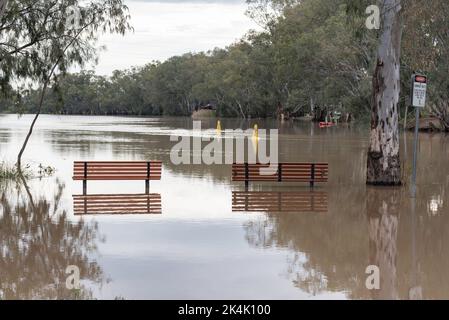 26 septembre 2022 Nyngan, Nouvelle-Galles du Sud, Australie : la rivière Bogan en crue a atteint des niveaux modérés d'inondation de 3,4m 000, qui débordent sur ses rives dans des sentiers de pique-nique et de randonnée et dans les parties inférieures du garage local près du pont Peter Sinclair. Credit, Stephen Dwyer, Alay Banque D'Images