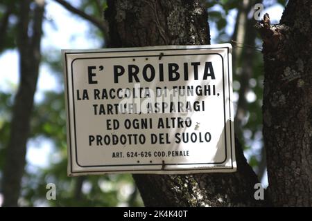 Proibita, signe en italien interdisant la cueillette de champignons et d'autres produits alimentaires sauvages, Ombrie, Italie Banque D'Images