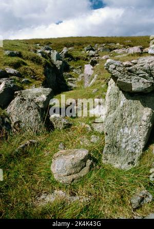 Bunzie House, Pettigarths Field Settlement, Whalsay, Shetland. Entrée au bâtiment néolithique. Banque D'Images