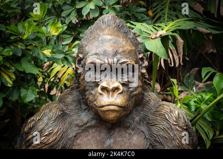 Ténérife, Espagne - août 2022 : statue de Gorilla à Loro Parque à Ténérife Banque D'Images