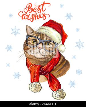 Carte de Noël avec portrait de chat britannique amusant portant dans un chapeau de noël, des lunettes, un foulard, des flocons de neige et des lettres Cordialement. Illustration vectorielle. Pour Illustration de Vecteur