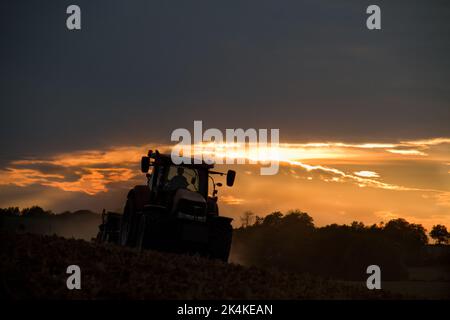 Tracteur hersant un sol brun rougeâtre, poussiéreux et argileux dans un paysage vallonné au coucher du soleil Banque D'Images