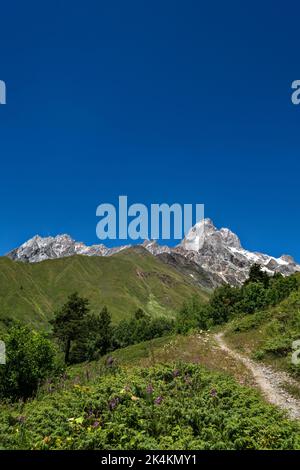 Ushba (4710m haut) dans le Haut-Svaneti, Géorgie. Vue depuis la vallée de Guli. Banque D'Images