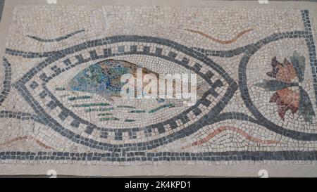 Rome, Musée Centrale Montemartini, mosaïque romaine avec des éléments géométriques et des poissons Banque D'Images