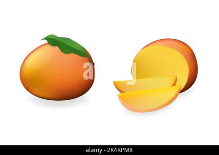Mangues d'orange mûres, entières, coupées en deux et coupées en tranches de fruits. Illustration de Vecteur