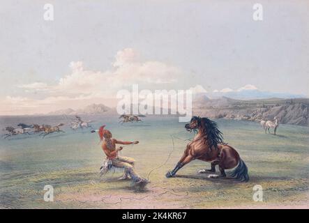 Attraper le cheval sauvage. De Catlin's North American Indian Portfolio, publié à Londres, 1844 par l'artiste, l'aventurier américain George Catlin, 1796 - 1872. Au cours de nombreux voyages Catlin enregistré avec plume et brossez les coutumes et les styles de vie des tribus amérindiennes. Banque D'Images