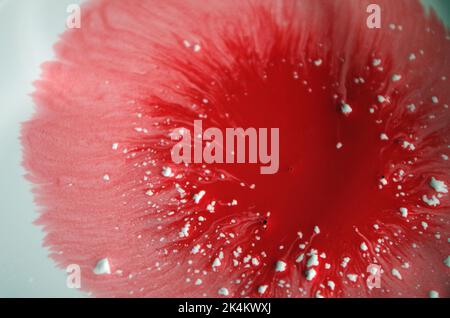 Couleurs rouges en acrylique Banque D'Images