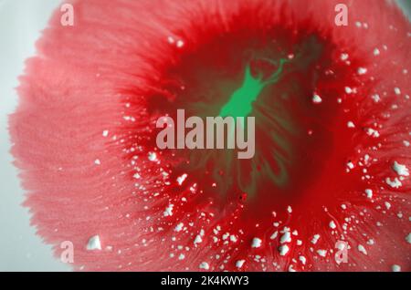 Couleurs rouges en acrylique Banque D'Images