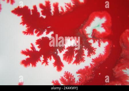 Couleurs rouges en acrylique Banque D'Images