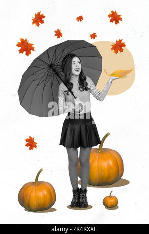 Creative 3D photo art graphiques collage de la charmante jeune femme excitée tenir parapluie profiter des chutes de feuilles automne saison récolte de citrouille Banque D'Images