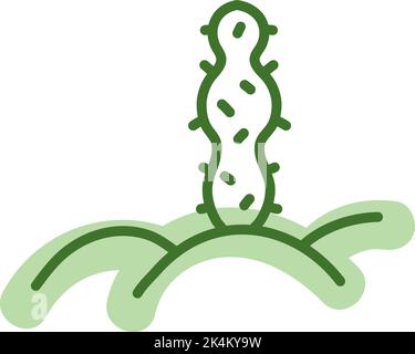 San Pedro cactus, illustration, vecteur sur fond blanc. Illustration de Vecteur