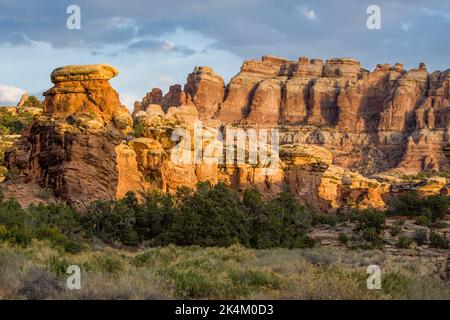 Formations rocheuses de grès de Cedar Mesa dans Devil's Garden, dans le quartier des aiguilles du parc national de Canyonlands, Utah. Banque D'Images