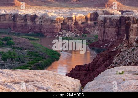 Premier feu sur la rivière Green dans Stillwater Canyon, coupé à travers le plateau blanc dans le parc national de Canyonlands, Utah. Les rives de la rivière sont couvertes Banque D'Images