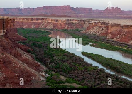 Vue avant l'aube sur la rivière Green dans Stillwater Canyon depuis la piste White Rim Trail dans le parc national de Canyonlands, Utah, jusqu'aux Buttes de la Croix dans le Glen Cany Banque D'Images