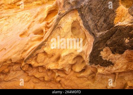 Tafoni ou chatterms d'érosion lacétone dans le grès de Horse Canyon, dans le district de Needles du parc national de Canyonlands, Utah. Banque D'Images