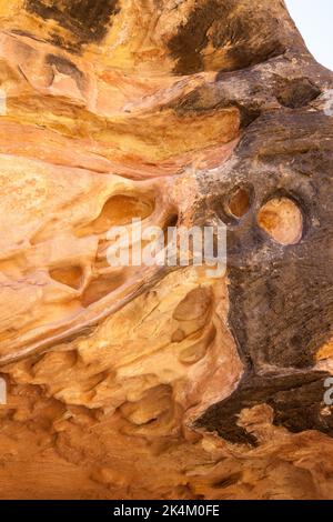 Tafoni ou chatterms d'érosion lacétone dans le grès de Horse Canyon, dans le district de Needles du parc national de Canyonlands, Utah. Banque D'Images