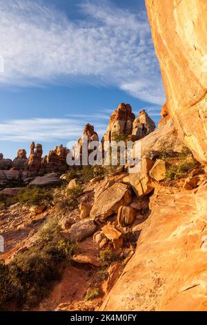 Formations rocheuses de grès et aiguilles de Cedar Mesa dans le parc Chesler, dans le quartier Needles du parc national de Canyonlands, Utah. Banque D'Images