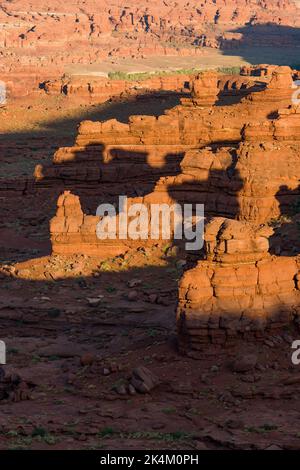 Lumière du coucher du soleil sur les formations rocheuses d'Organ Rock Shale le long du White Rim Trail dans le parc national de Canyonlands, Utah. Banque D'Images