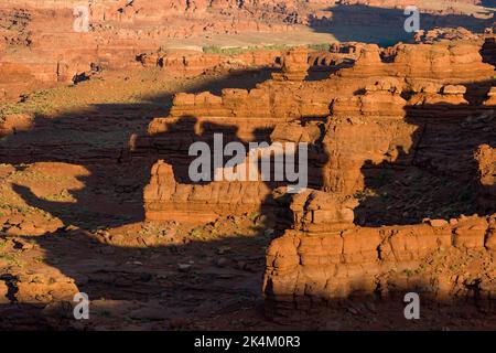 Lumière du coucher du soleil sur les formations rocheuses d'Organ Rock Shale le long du White Rim Trail dans le parc national de Canyonlands, Utah. Banque D'Images