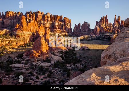 Formations rocheuses de grès de Cedar Mesa dans Devil's Garden, dans le quartier des aiguilles du parc national de Canyonlands, Utah. Banque D'Images