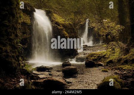 Une eau à effet de soie qui coule le long d'une cascade rocheuse dans une forêt Banque D'Images