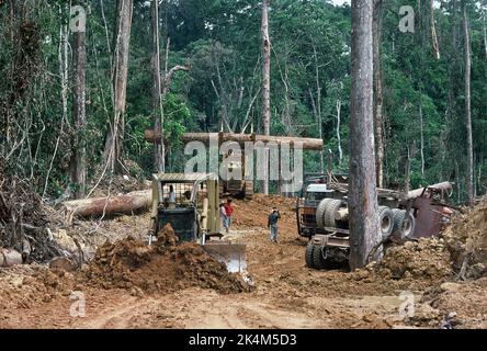 Malaisie. Sabah. Concession d'enregistrement. Chantier de défrichement du bulldozer. Banque D'Images