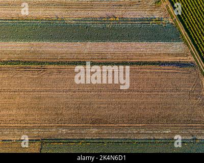 Traces de pneus dans un champ récolté à côté d'une route de terre vue de l'air en automne sous le soleil, Allemagne Banque D'Images