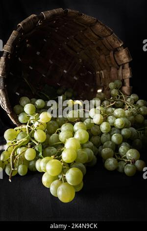 Raisins blancs biologiques sur fond sombre. Banque D'Images