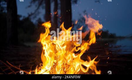 Feux de camp et vagues parmi les arbres près du lac la nuit. Le vent souffle le feu dans toutes les directions. Les étincelles du feu volent dans la forêt Banque D'Images