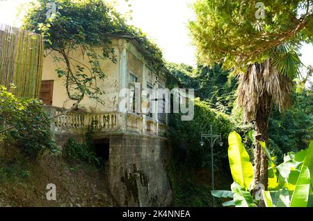 Ancienne maison dans le jardin botanique de Batumi. Banque D'Images