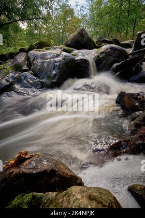 Une vue panoramique de l'eau à effet de soie qui coule le long d'une rivière rocheuse dans une forêt Banque D'Images