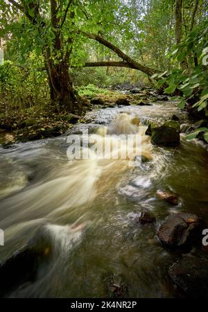 Une vue panoramique de l'eau à effet de soie qui coule le long d'une rivière rocheuse dans une forêt Banque D'Images